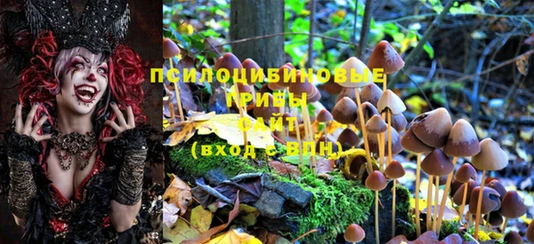 прущая мука Баксан